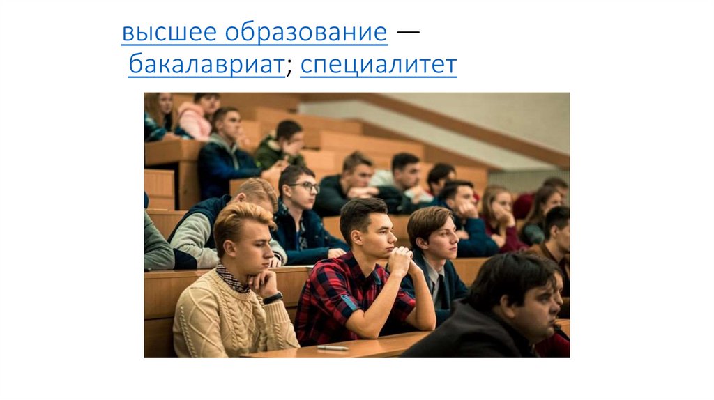 высшее образование — бакалавриат; специалитет