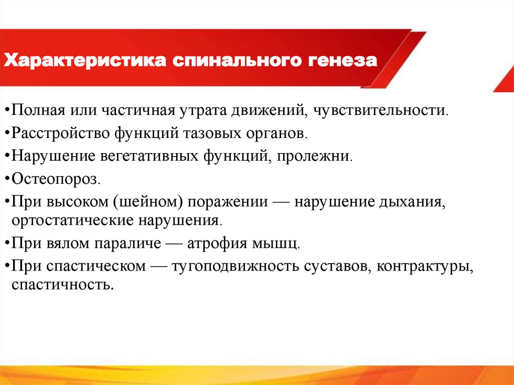 Характеристика спинального генеза
