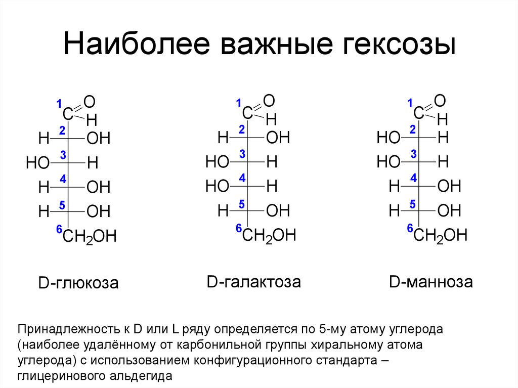 Наиболее важные гексозы