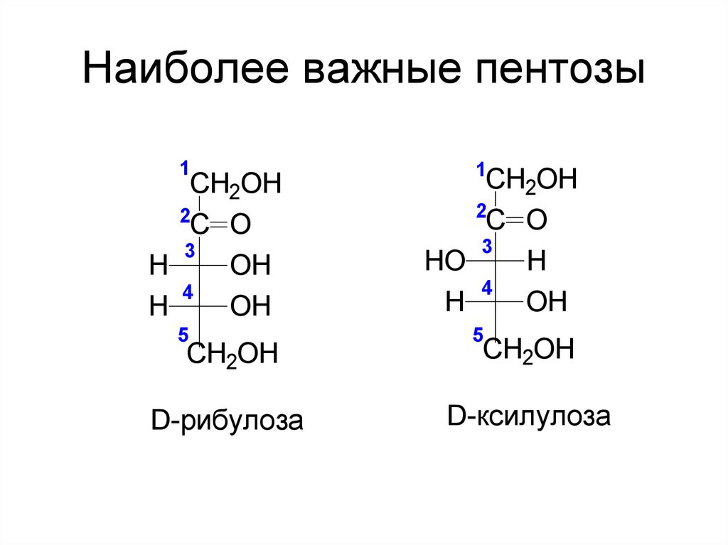 Наиболее важные пентозы
