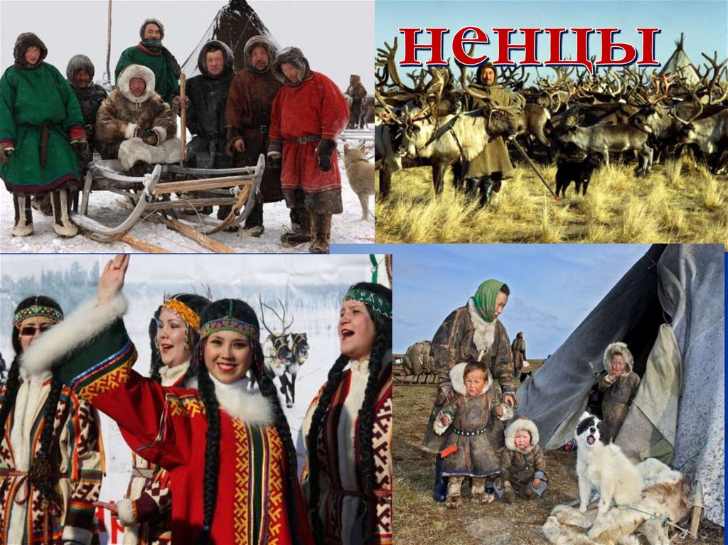 ненцы