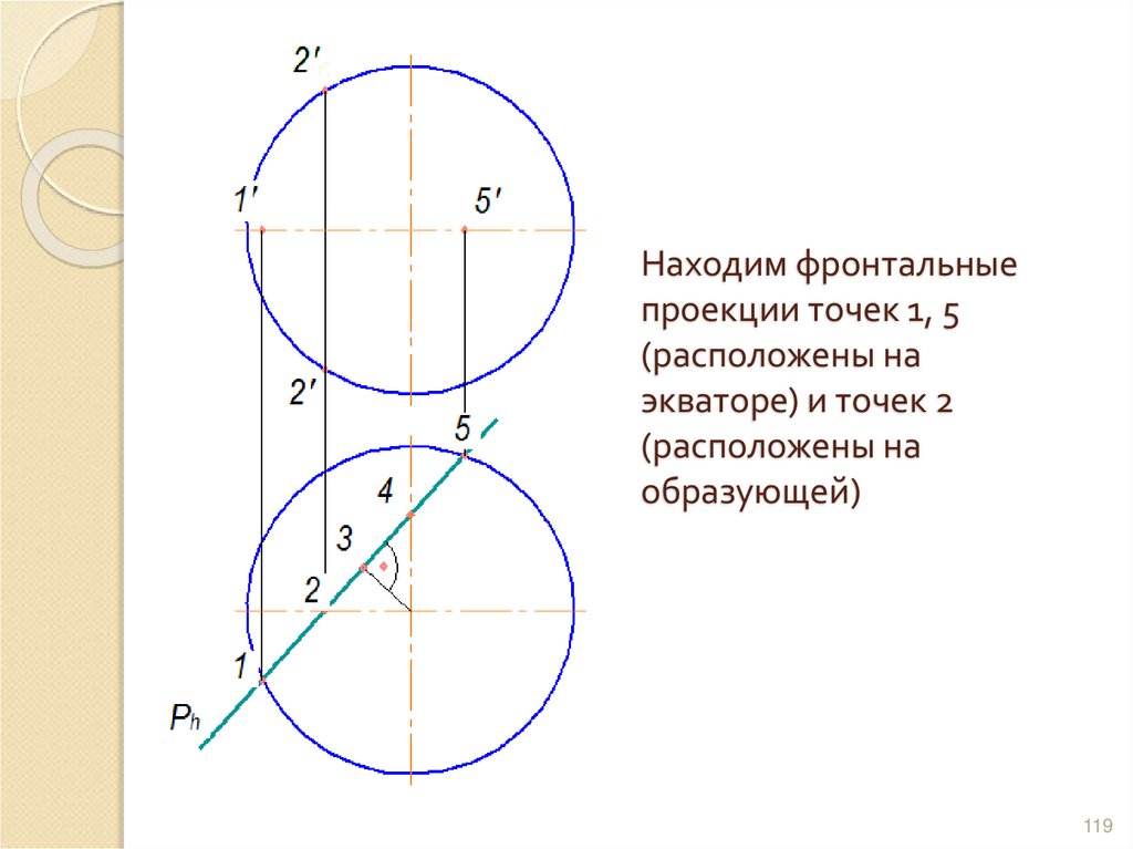 Находим фронтальные проекции точек 1, 5 (расположены на экваторе) и точек 2 (расположены на образующей)
