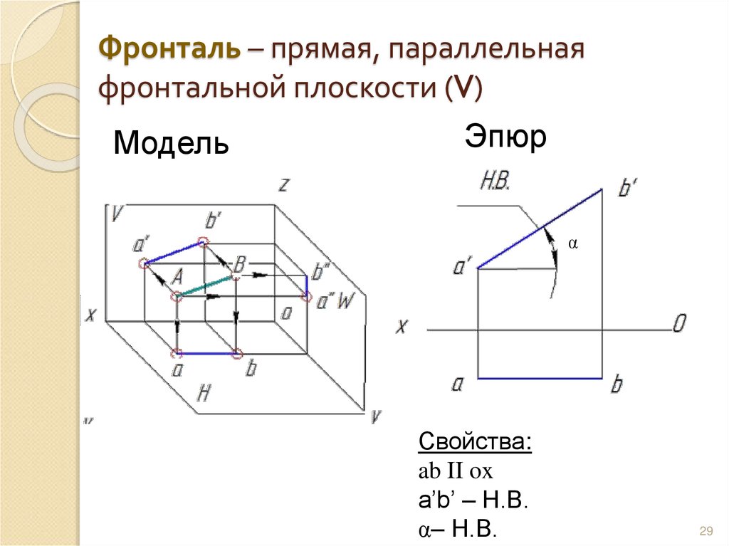 Фронталь – прямая, параллельная фронтальной плоскости (V)