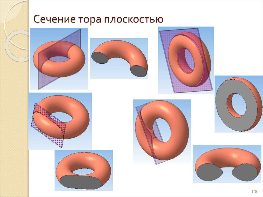 Сечение тора плоскостью