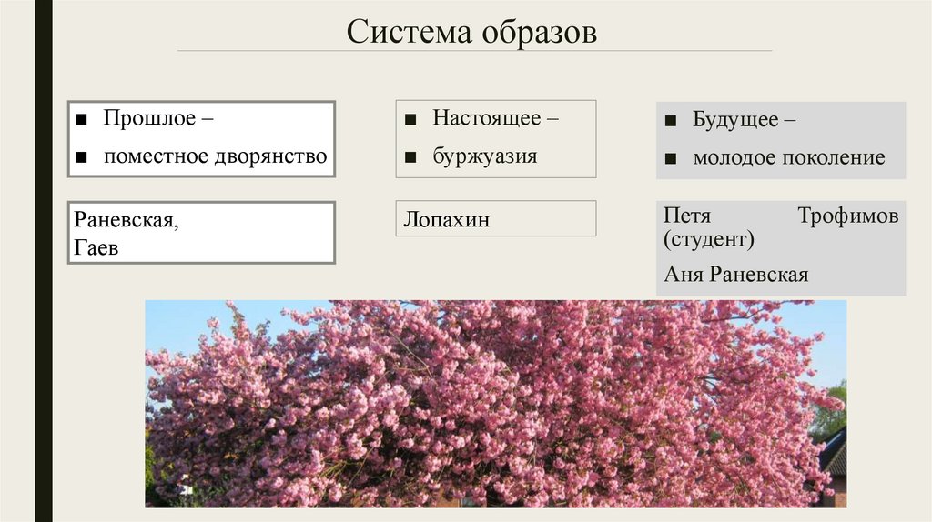 Система образов