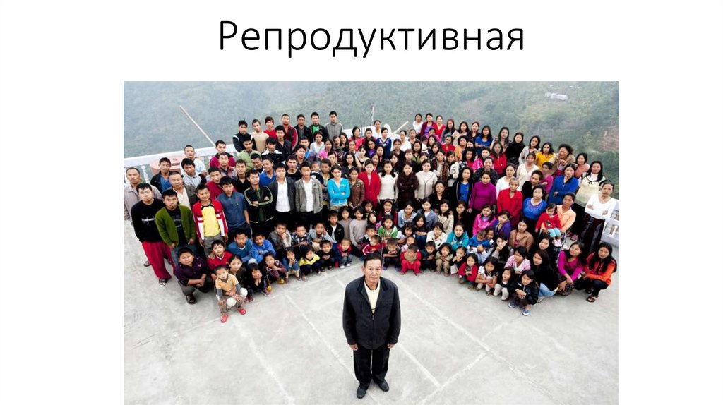 Репродуктивная