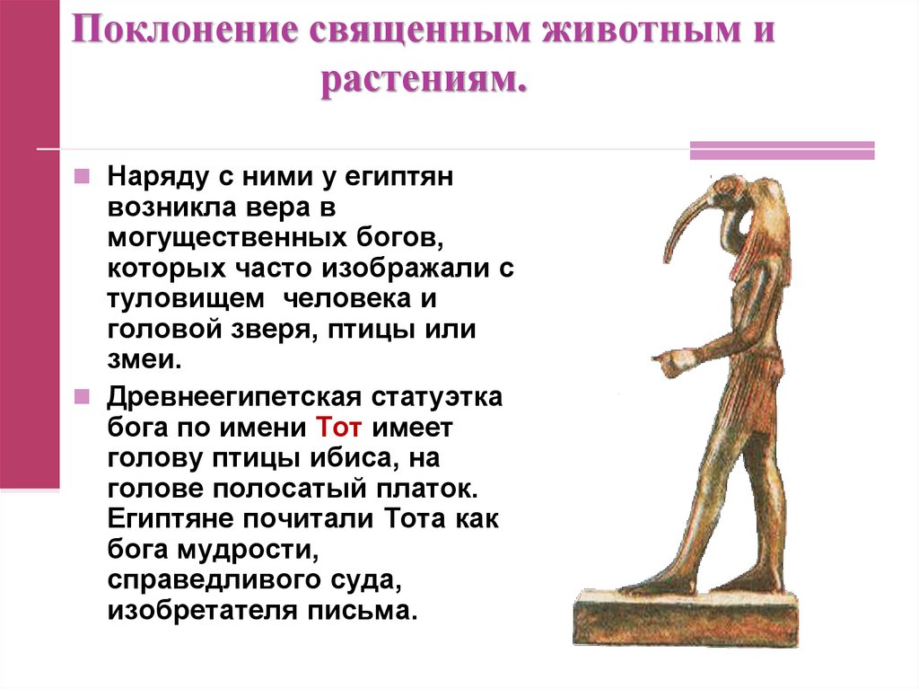 Поклонение священным животным и растениям.