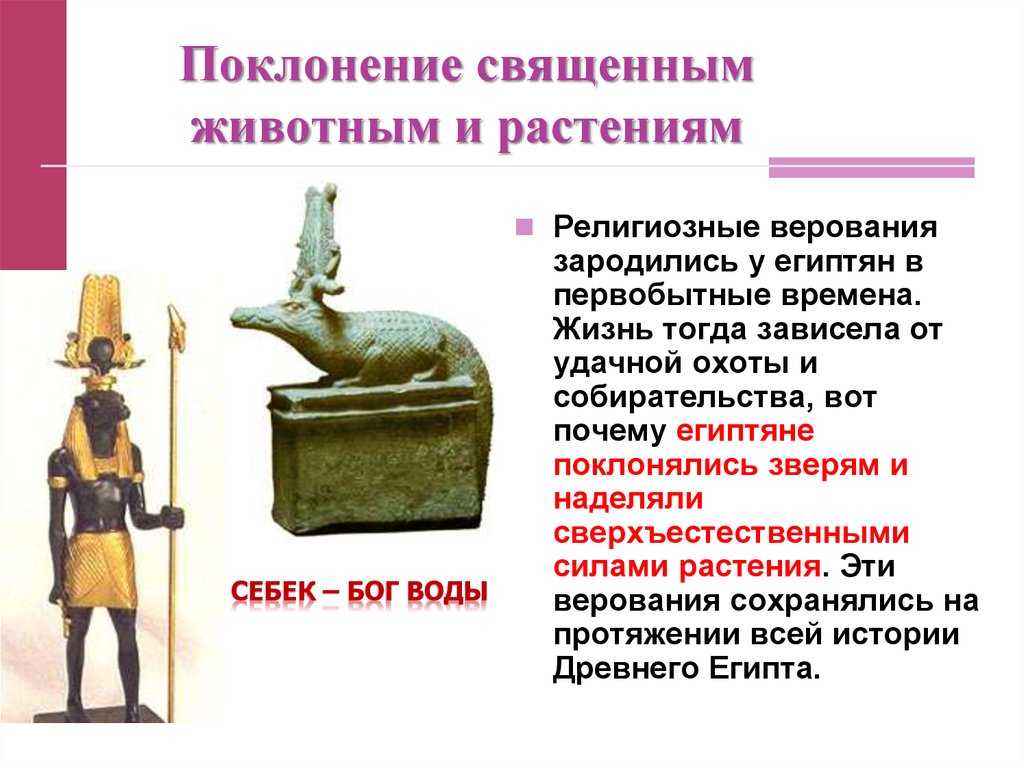 Поклонение священным животным и растениям