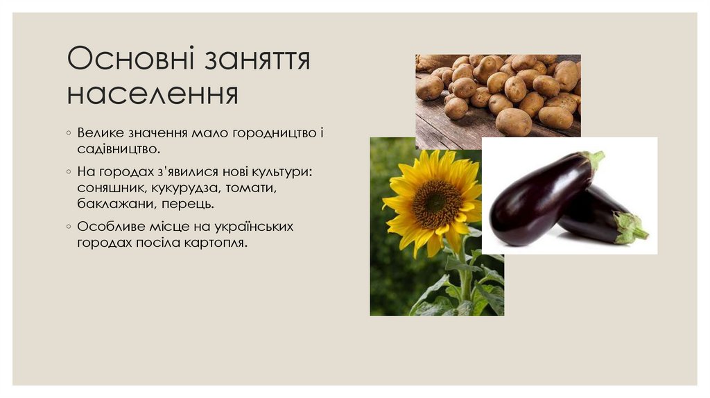 Основні заняття населення