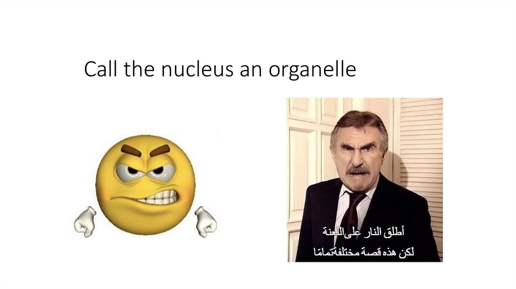 Call the nucleus an organelle