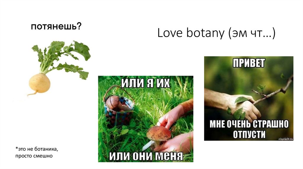 Love botany (эм чт…)