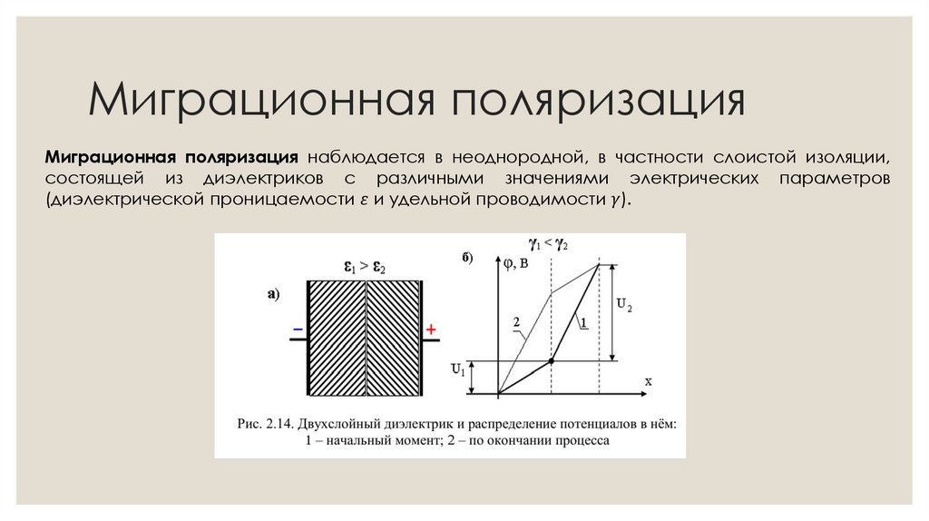 Миграционная поляризация