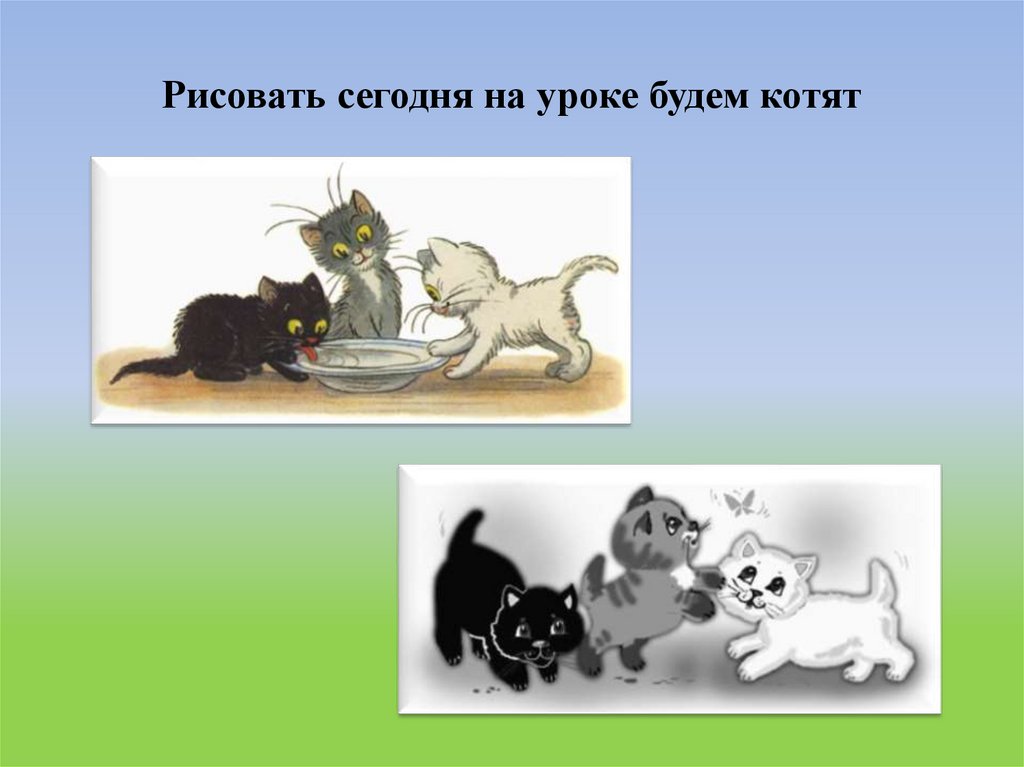 Рисовать сегодня на уроке будем котят