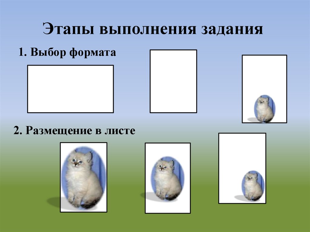 Этапы выполнения задания