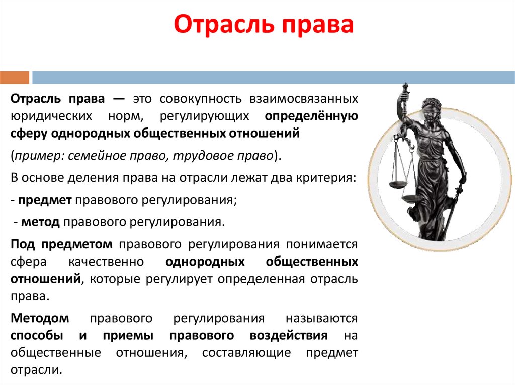 Отрасль права