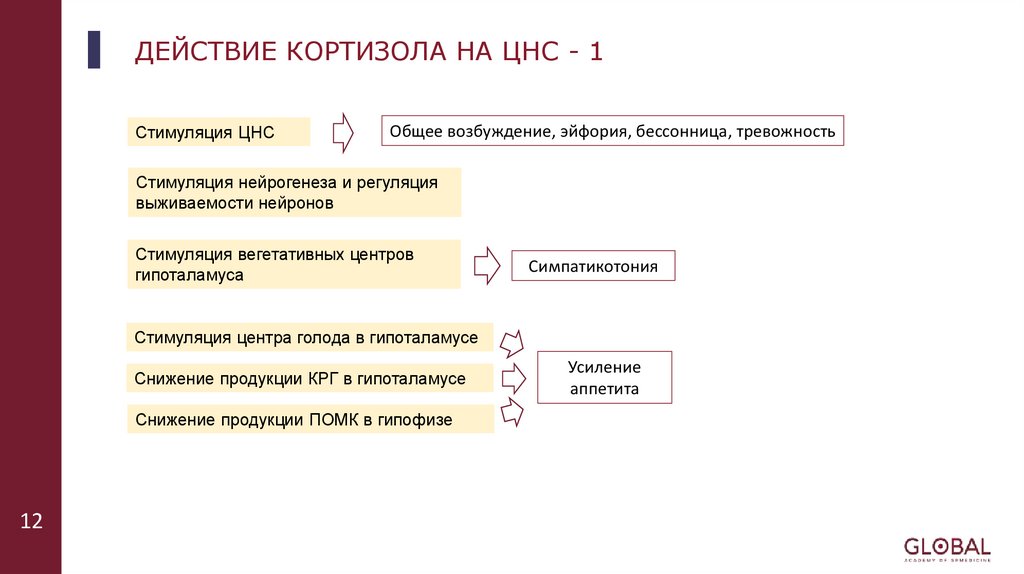 ДЕЙСТВИЕ КОРТИЗОЛА НА ЦНС - 1