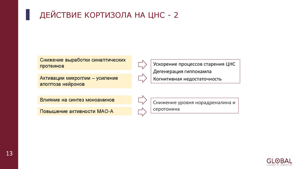 ДЕЙСТВИЕ КОРТИЗОЛА НА ЦНС - 2