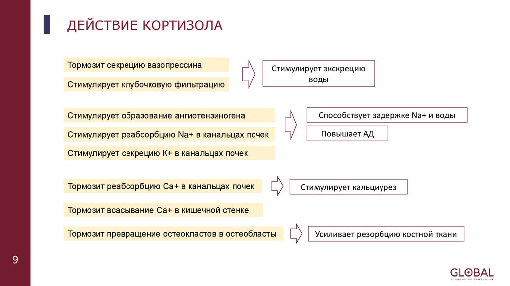 ДЕЙСТВИЕ КОРТИЗОЛА