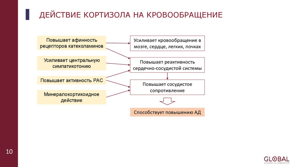 ДЕЙСТВИЕ КОРТИЗОЛА НА КРОВООБРАЩЕНИЕ