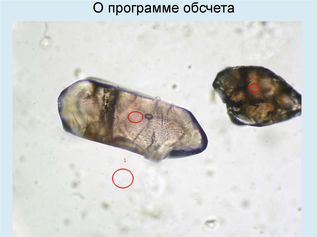 О программе обсчета