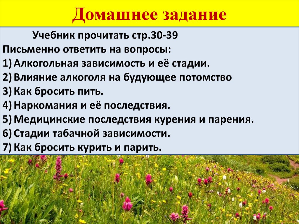 Домашнее задание