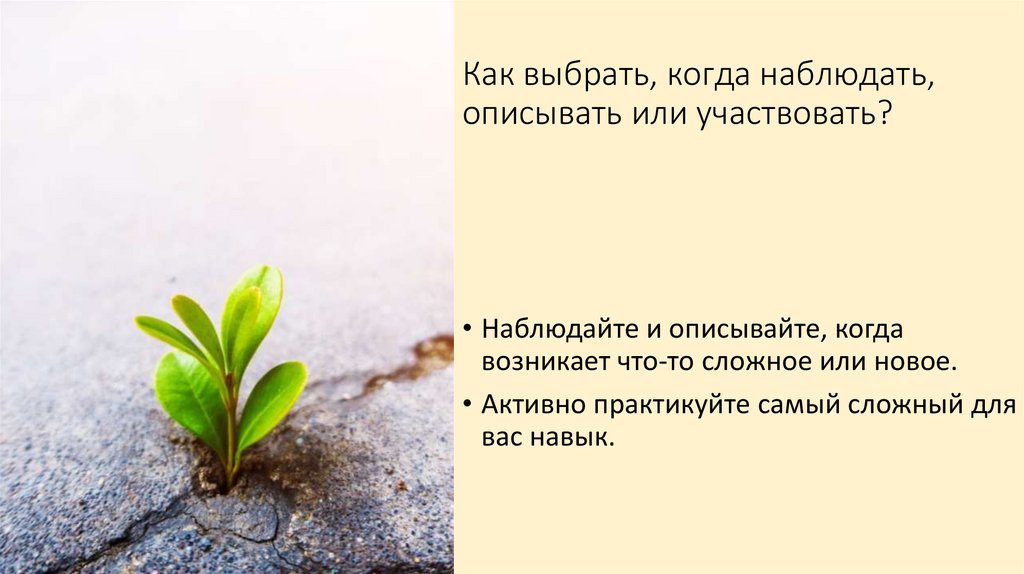 Как выбрать, когда наблюдать, описывать или участвовать?