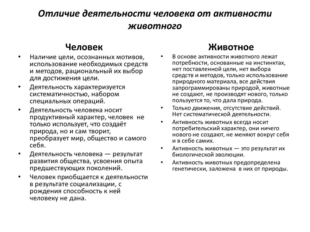 Отличие деятельности человека от активности животного