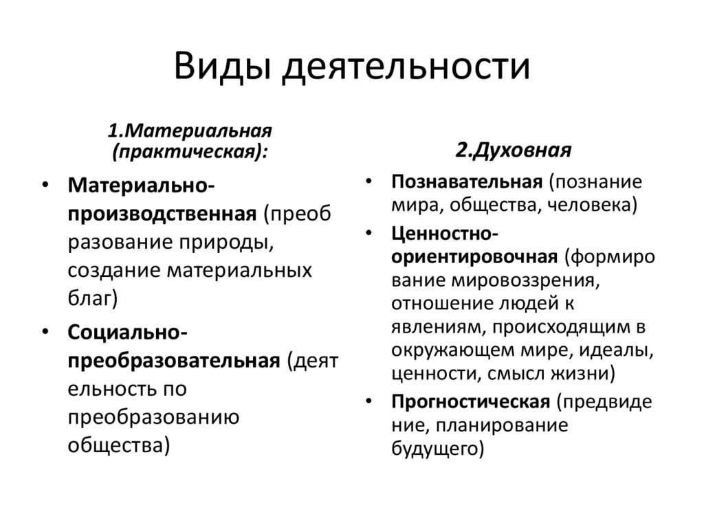 Виды деятельности