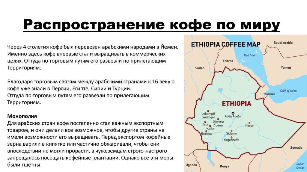 Распространение кофе по миру