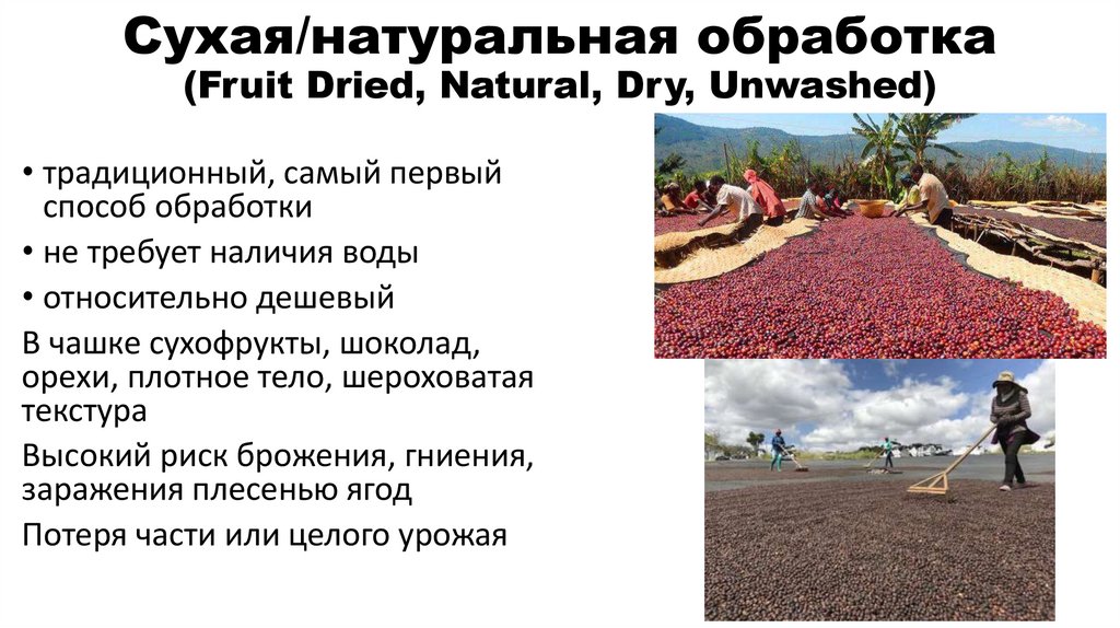 Сухая/натуральная обработка (Fruit Dried, Natural, Dry, Unwashed)