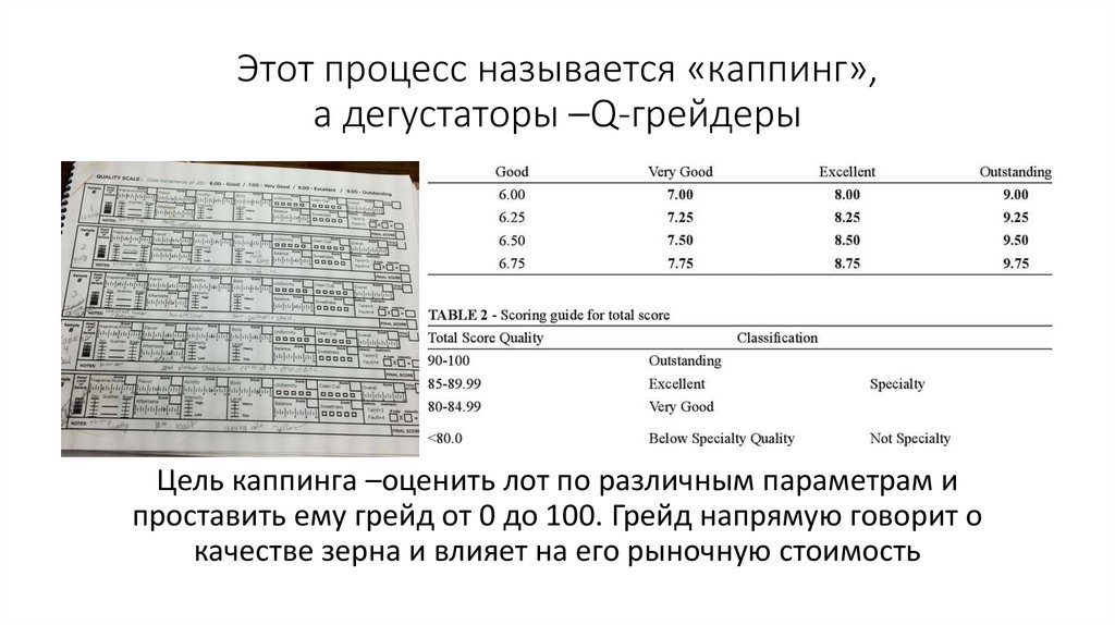 Этот процесс называется «каппинг», а дегустаторы –Q-грейдеры