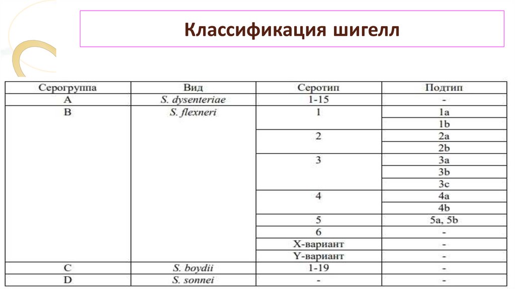 Классификация шигелл
