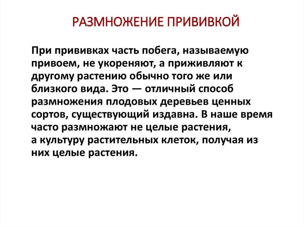 РАЗМНОЖЕНИЕ ПРИВИВКОЙ