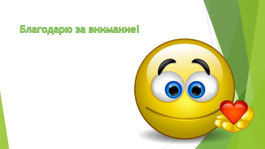 Благодарю за внимание!