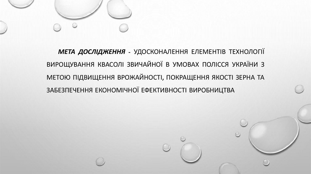 Мета дослідження - удосконалення елементів технології вирощування квасолі звичайної в умовах Полісся України з метою підвищення