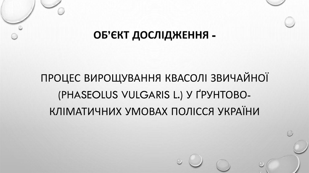 Об’єкт дослідження -