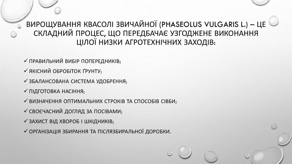 Вирощування квасолі звичайної (Phaseolus vulgaris L.) – це складний процес, що передбачає узгоджене виконання цілої низки