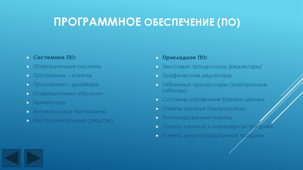 Программное обеспечение (ПО)