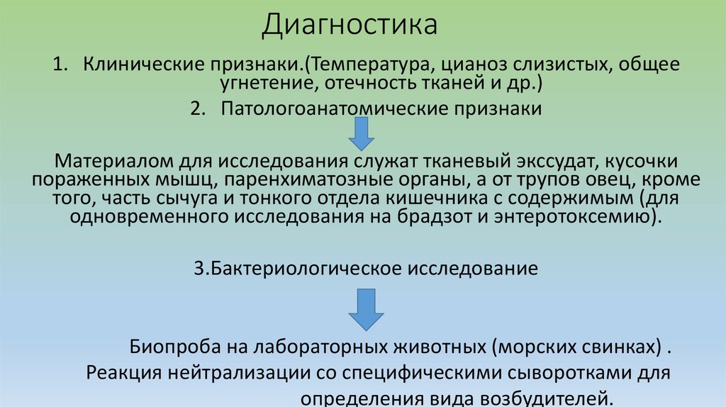 Диагностика