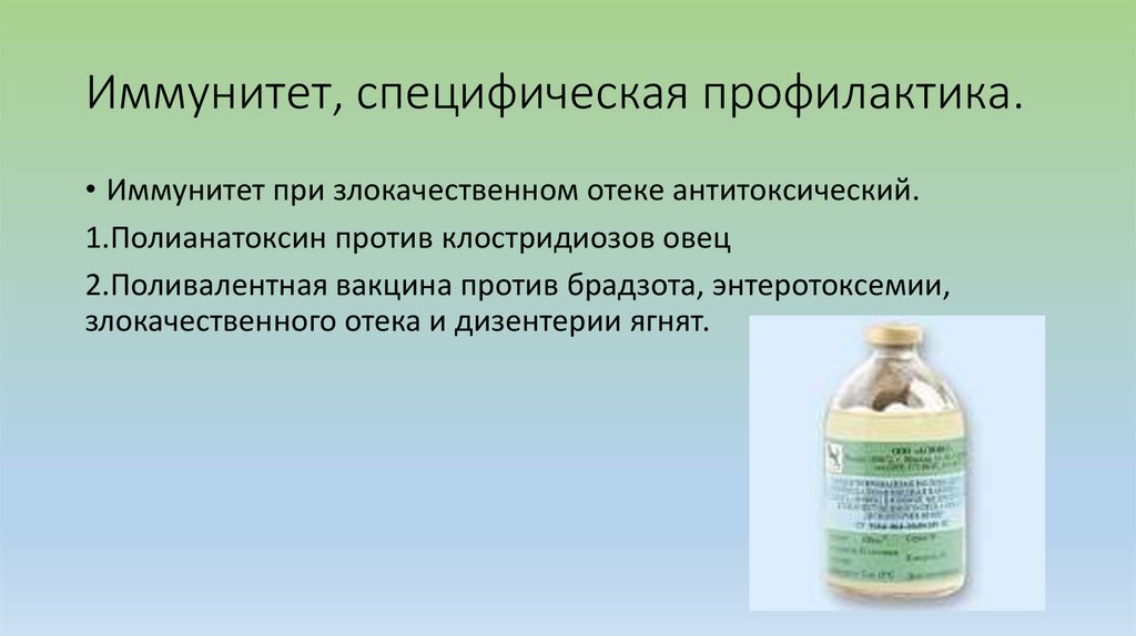 Иммунитет, специфическая профилактика.