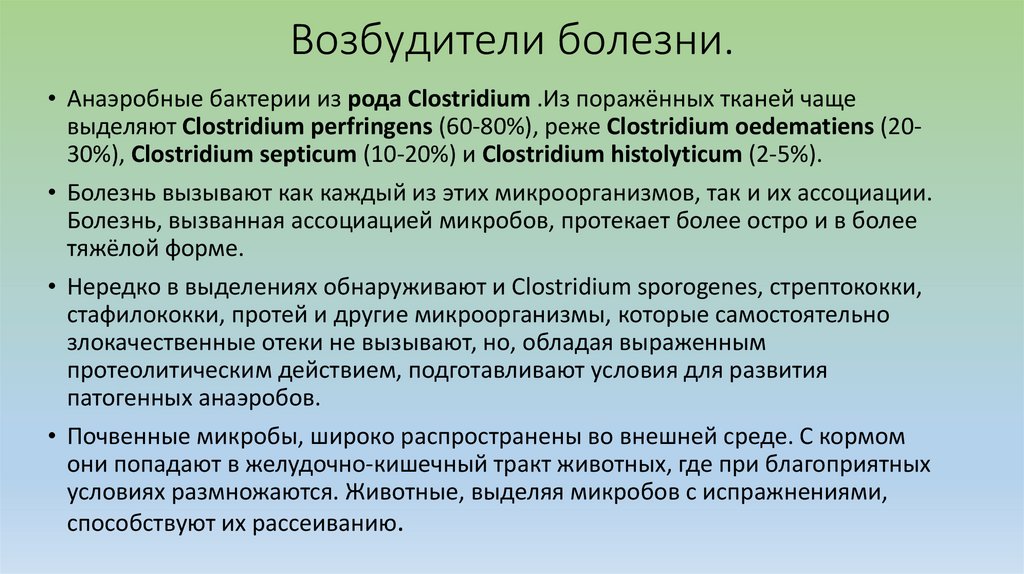 Возбудители болезни.