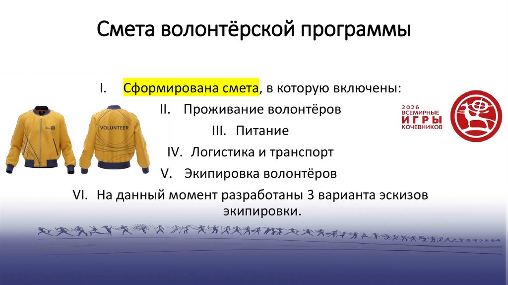 Смета волонтёрской программы