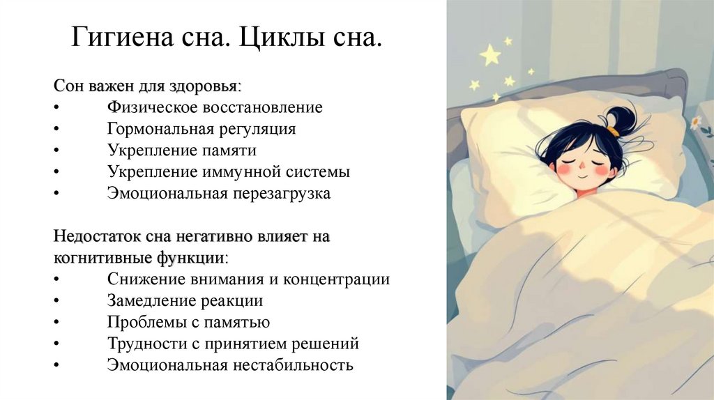 Гигиена сна. Циклы сна.