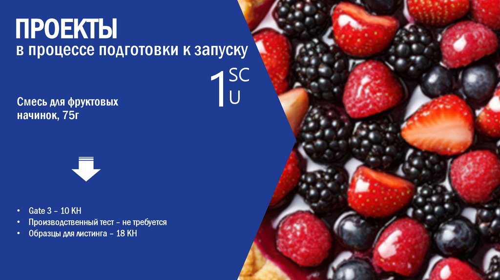 Смесь для фруктовых начинок, 75г