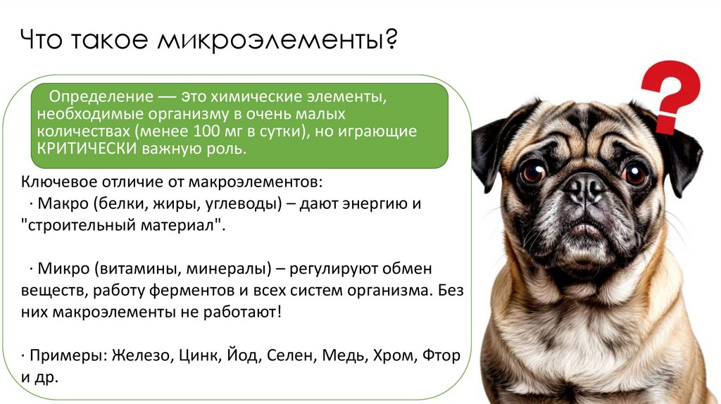 Что такое микроэлементы?