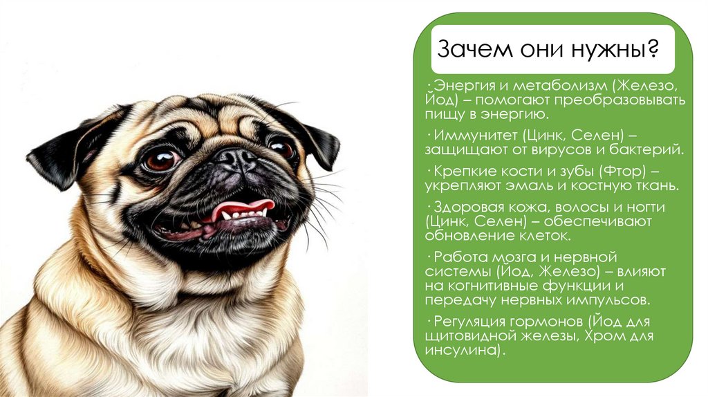 Зачем они нужны?