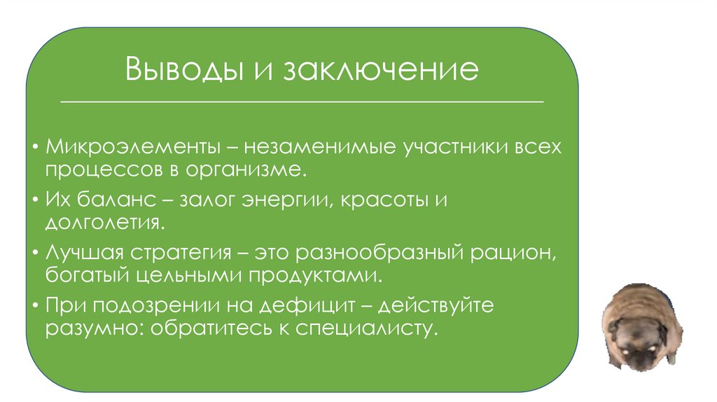 Выводы и заключение