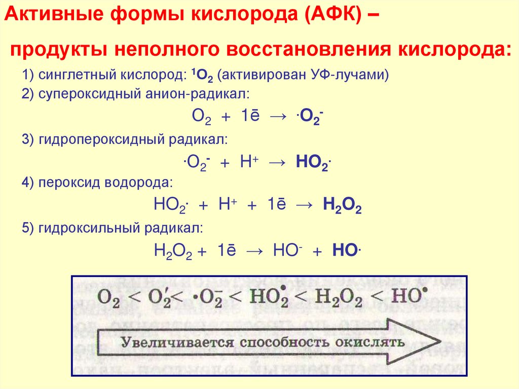 Активные формы кислорода (АФК) – продукты неполного восстановления кислорода: