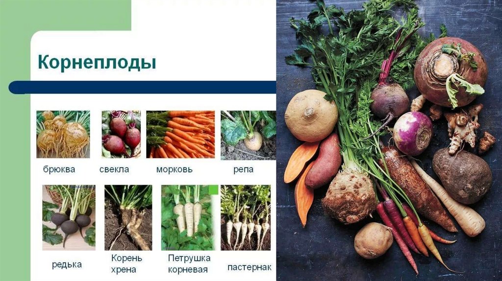 https___school.mos.ru_ej_attachments_files_216_759_060_original_%D0%BE ...