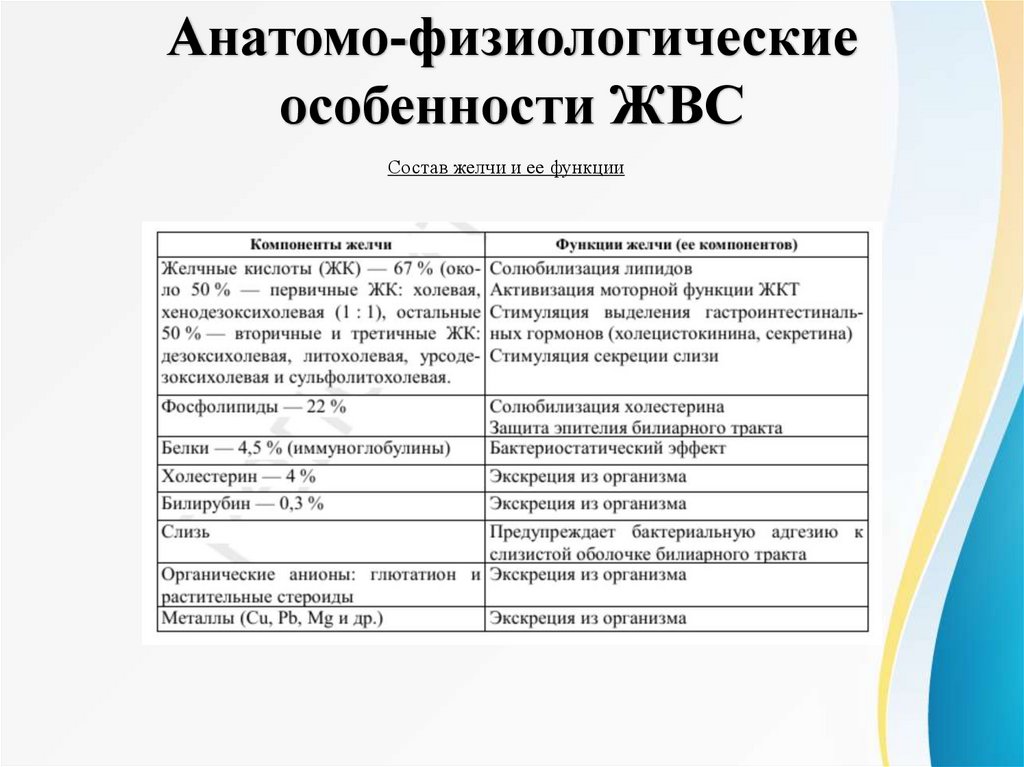 Анатомо-физиологические особенности ЖВС